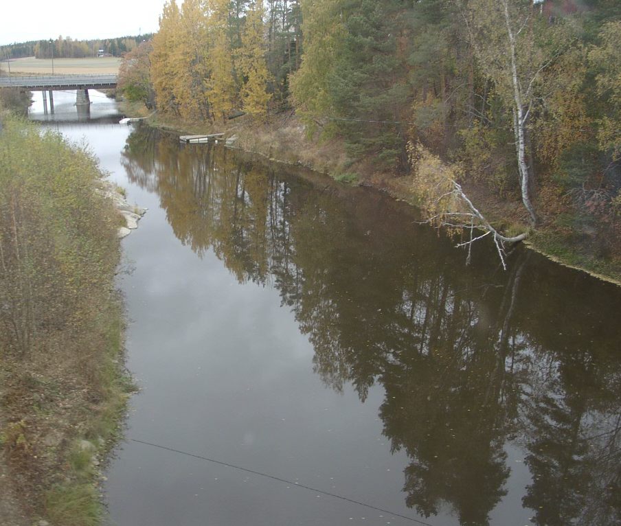 Ikkunasta